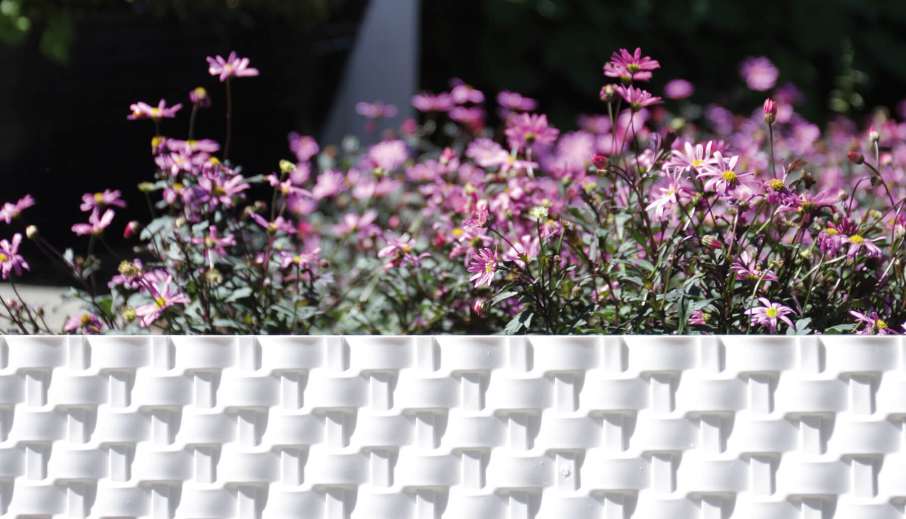 GardenPlast - producent innowacyjnych produktów dla ogrodnictwa