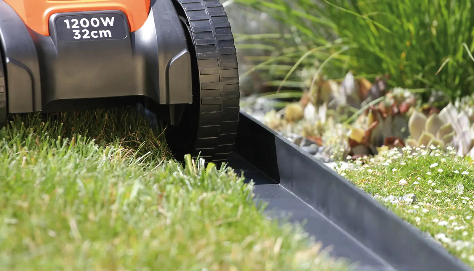 edging-lawn
